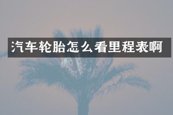 汽车轮胎怎么看里程表啊