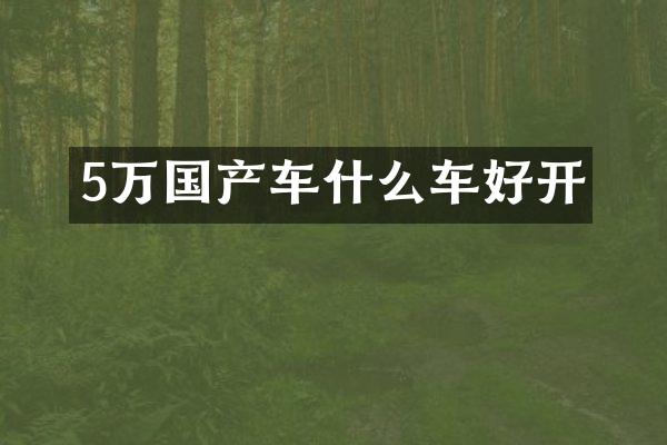 5万国产车什么车好开