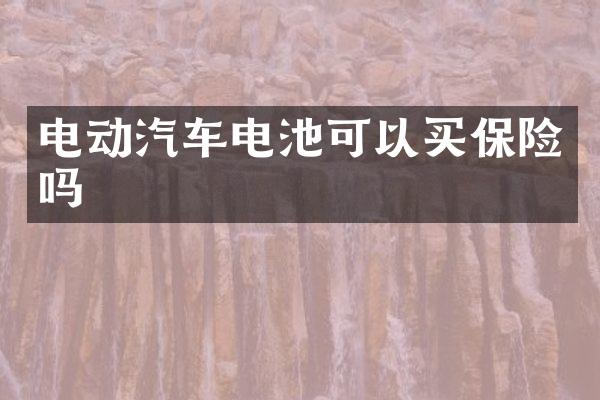 电动汽车电池可以买保险吗