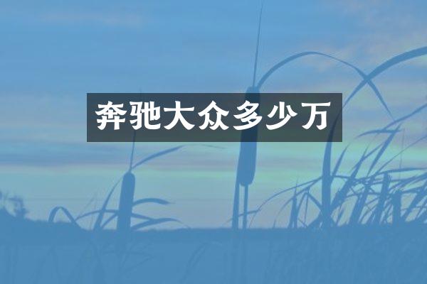 奔驰大众多少万