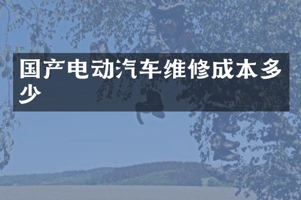 国产电动汽车维修成本多少