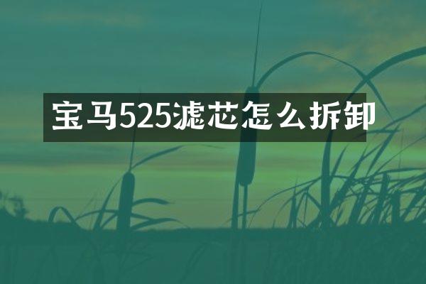 宝马525滤芯怎么拆卸