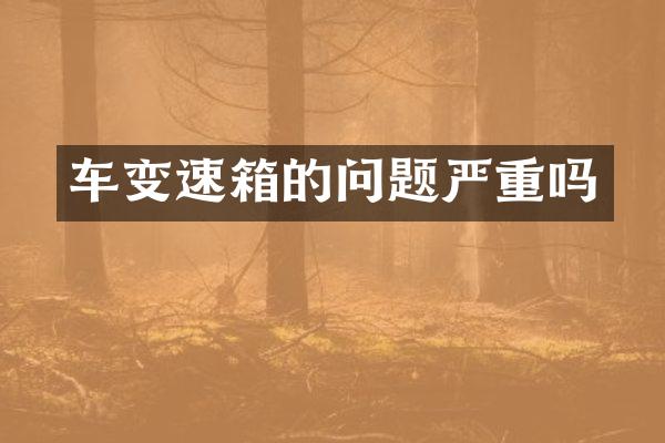 车变速箱的问题严重吗