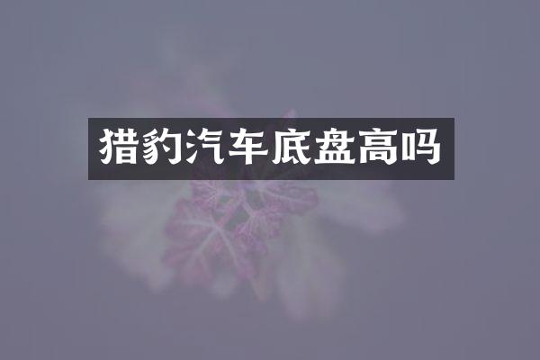 猎豹汽车底盘高吗