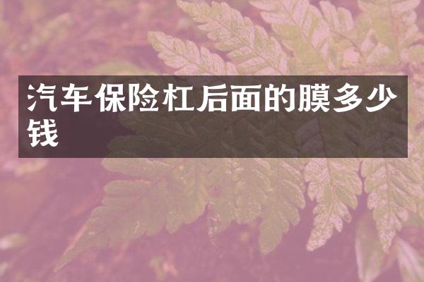 汽车保险杠后面的膜多少钱