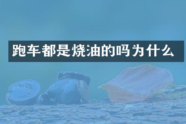 跑车都是烧油的吗为什么