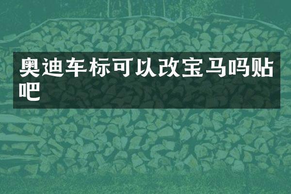 奥迪车标可以改宝马吗贴吧