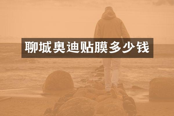 聊城奥迪贴膜多少钱