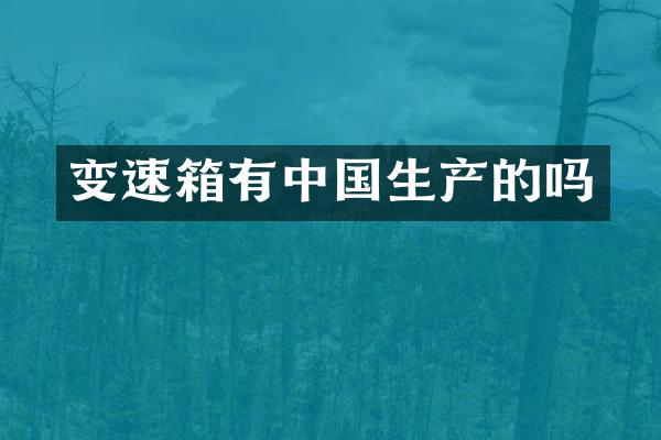 变速箱有中国生产的吗