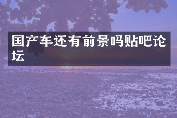 国产车还有前景吗贴吧论坛