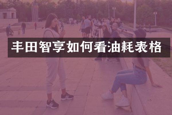 丰田智享如何看油耗表格