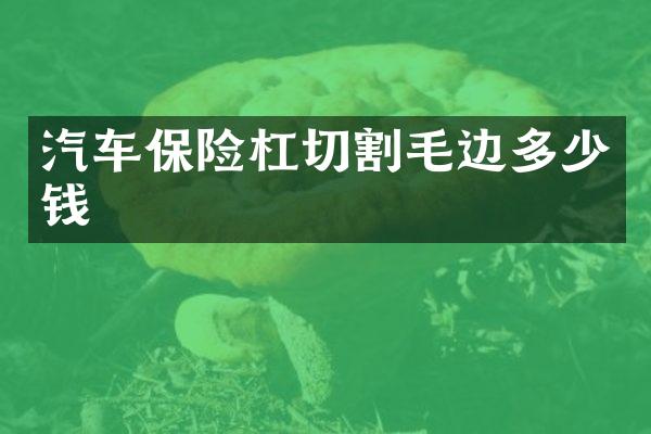 汽车保险杠切割毛边多少钱