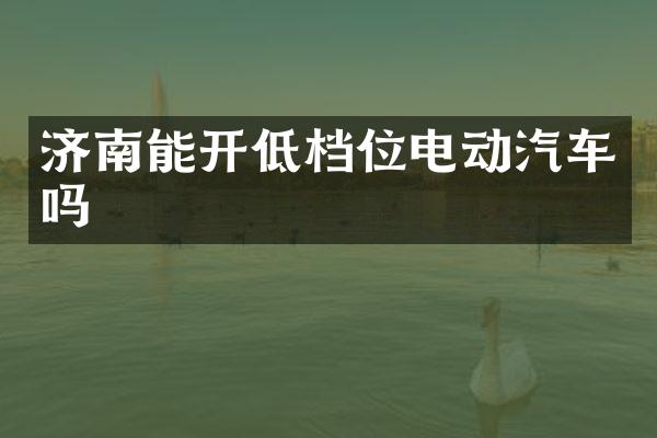 济南能开低档位电动汽车吗