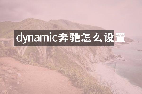 dynamic奔驰怎么设置
