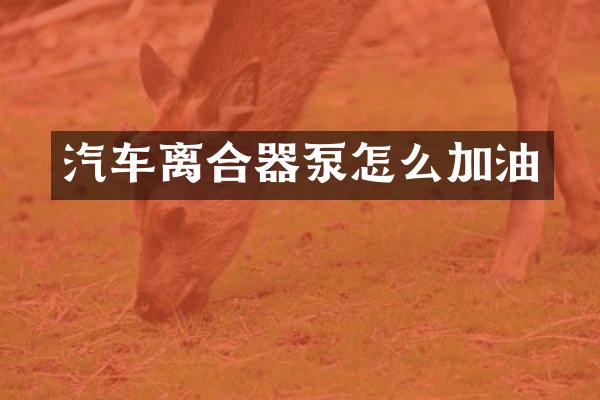 汽车离合器泵怎么加油