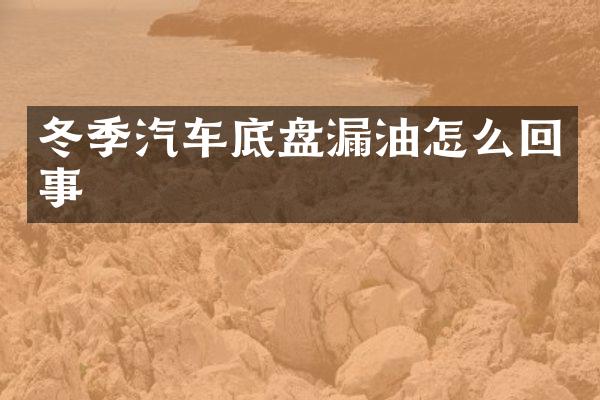 冬季汽车底盘漏油怎么回事