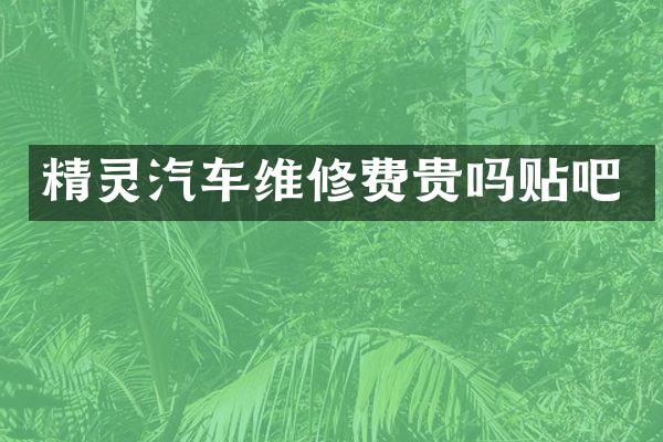 精灵汽车维修费贵吗贴吧
