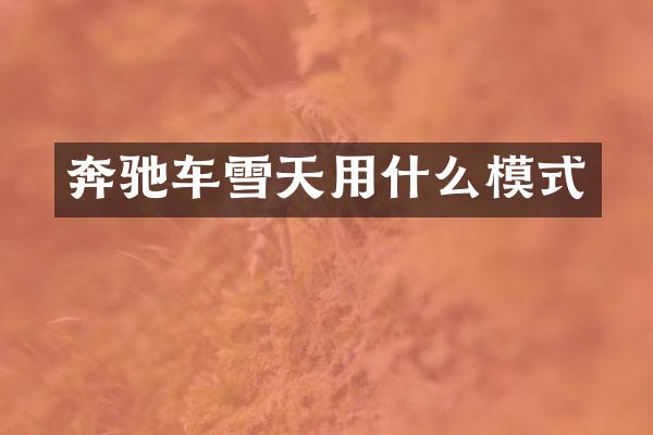 奔驰车雪天用什么模式