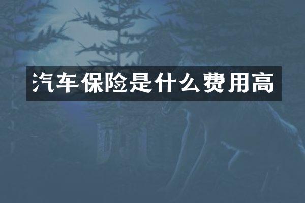 汽车保险是什么费用高