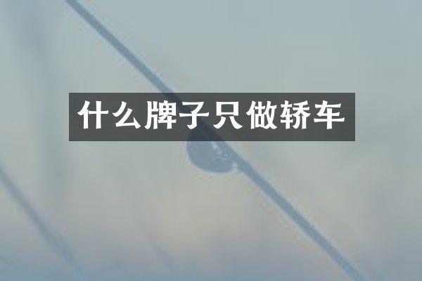 什么牌子只做轿车