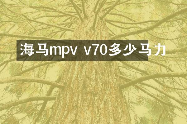 海马mpv v70多少马力