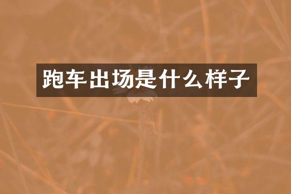 跑车出场是什么样子