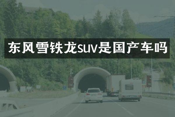 东风雪铁龙suv是国产车吗