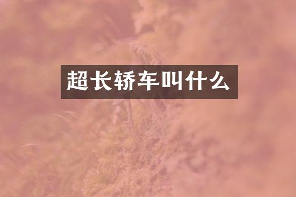 超长轿车叫什么