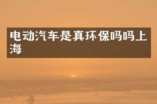 电动汽车是真环保吗吗上海