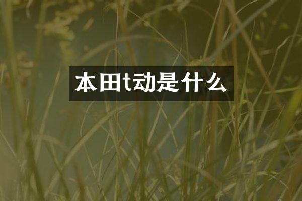 本田t动是什么