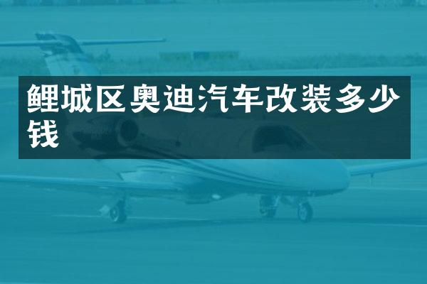 鲤城区奥迪汽车改装多少钱