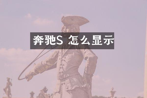 奔驰S 怎么显示