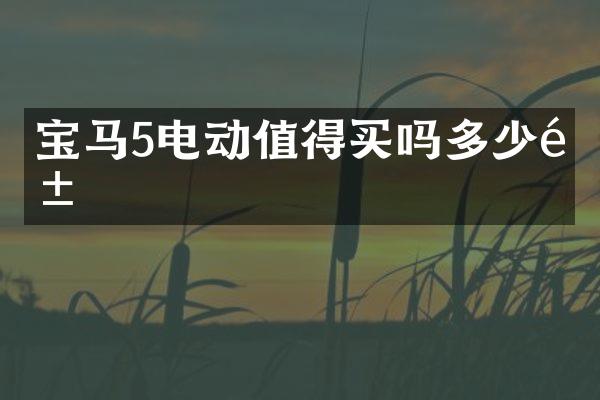 宝马5电动值得买吗多少钱
