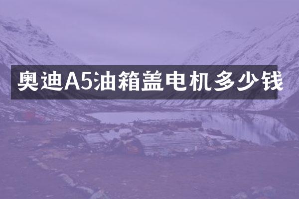奥迪A5油箱盖电机多少钱
