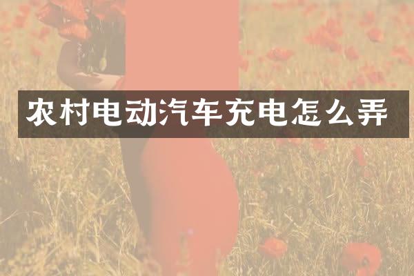 农村电动汽车充电怎么弄
