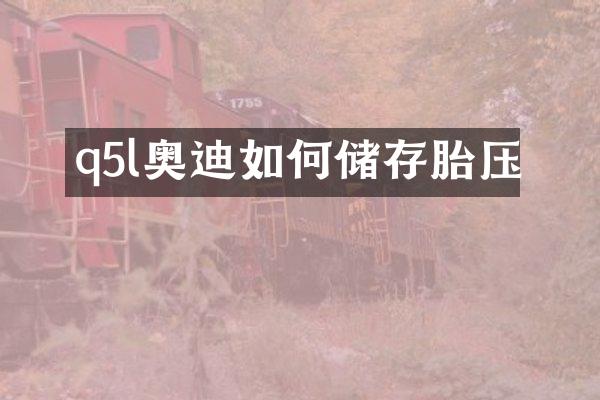 q5l奥迪如何储存胎压