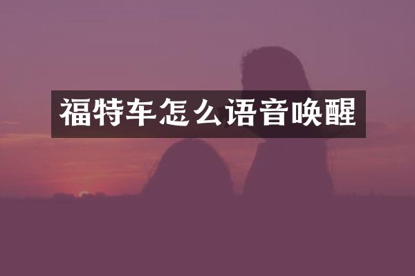 福特车怎么语音唤醒