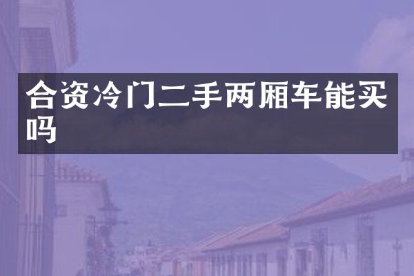 合资冷门二手两厢车能买吗