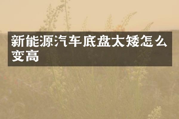 新能源汽车底盘太矮怎么变高