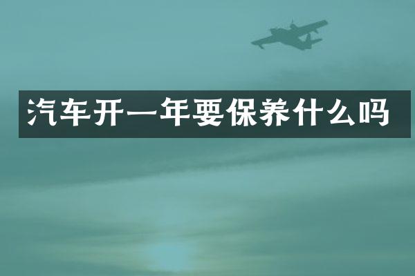 汽车开一年要保养什么吗