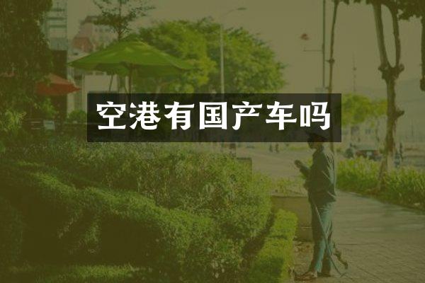 空港有国产车吗