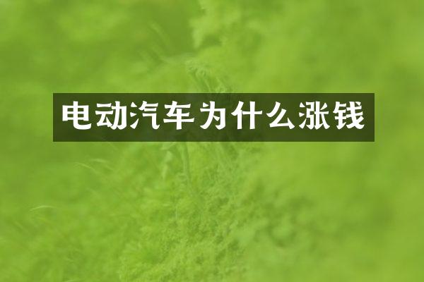 电动汽车为什么涨钱