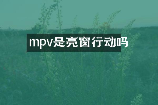 mpv是亮窗行动吗