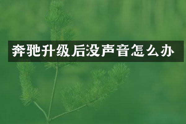 奔驰升级后没声音怎么办