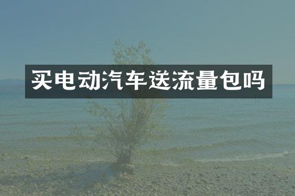 买电动汽车送流量包吗