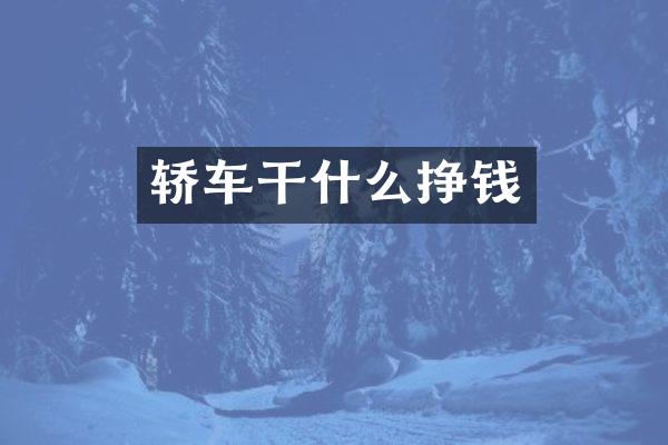 轿车干什么挣钱