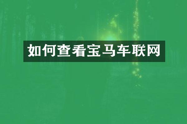 如何查看宝马车联网