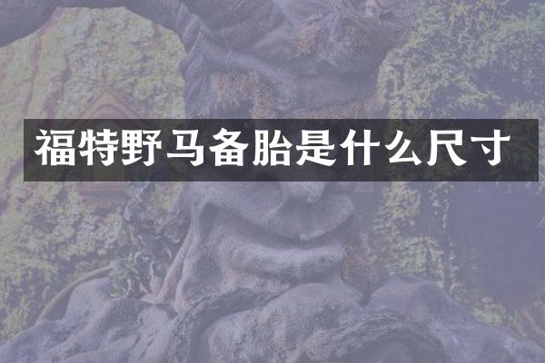 福特野马备胎是什么尺寸