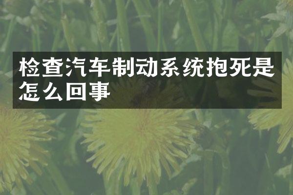 检查汽车制动系统抱死是怎么回事