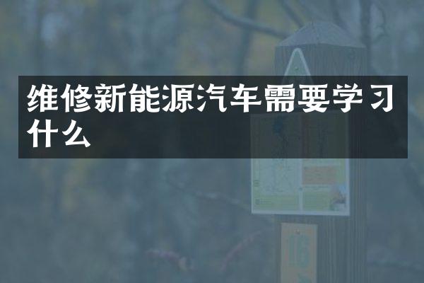 维修新能源汽车需要学习什么